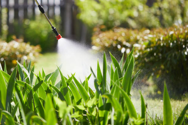 24/7 Emergency Mosquito Control experts in Whitmore Village, HI
